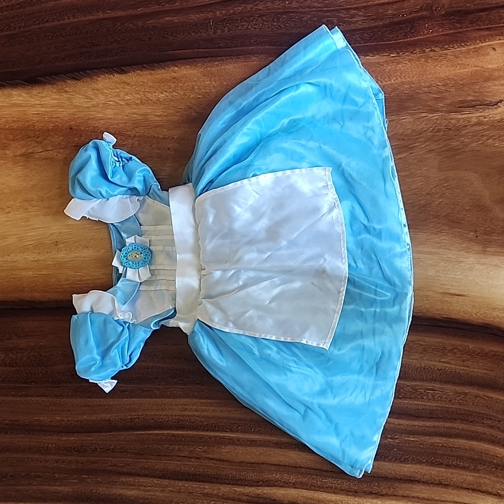 Disney Blue and White Princess Dress Costume